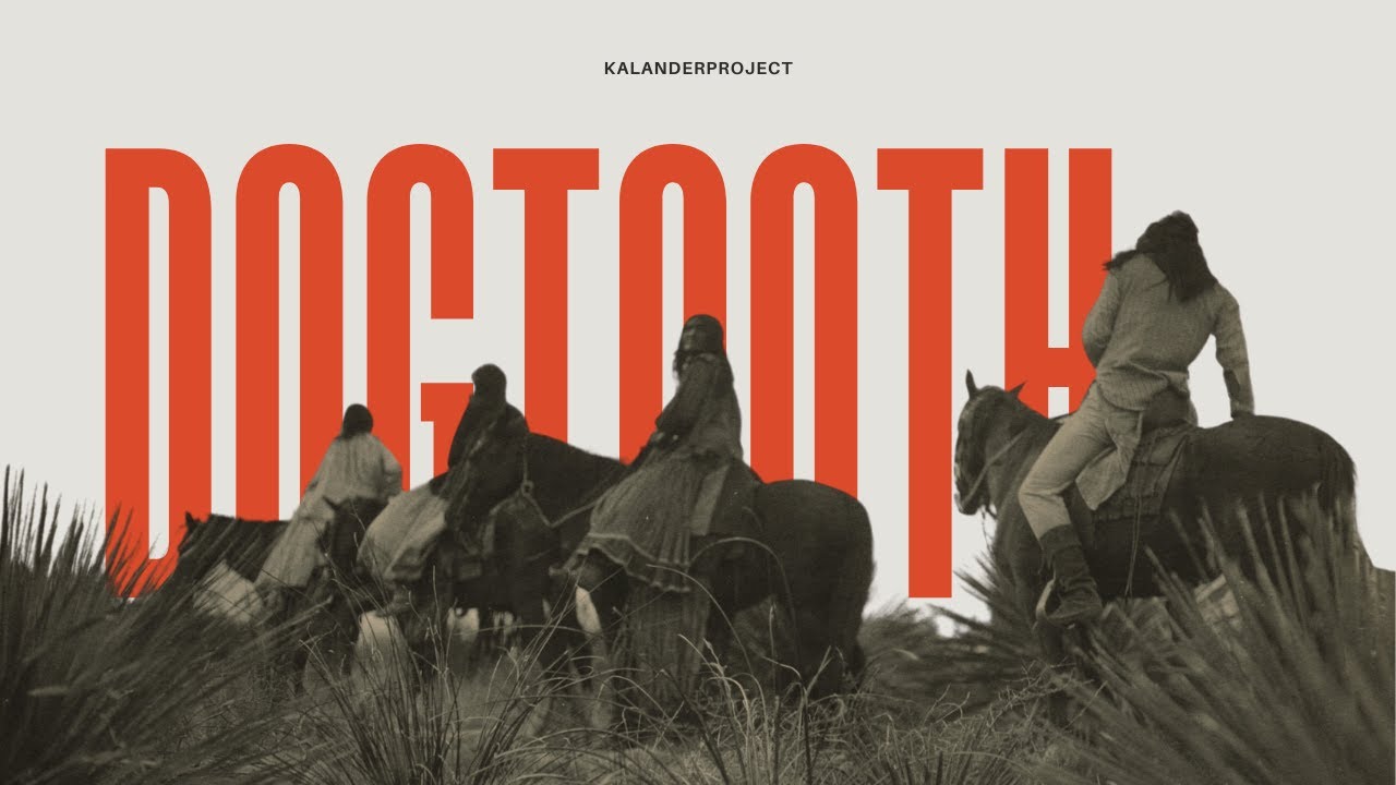 dogtooth/psychedelictrance kalenderprojecthouse   #psy #psytrance #psychedelicmusic