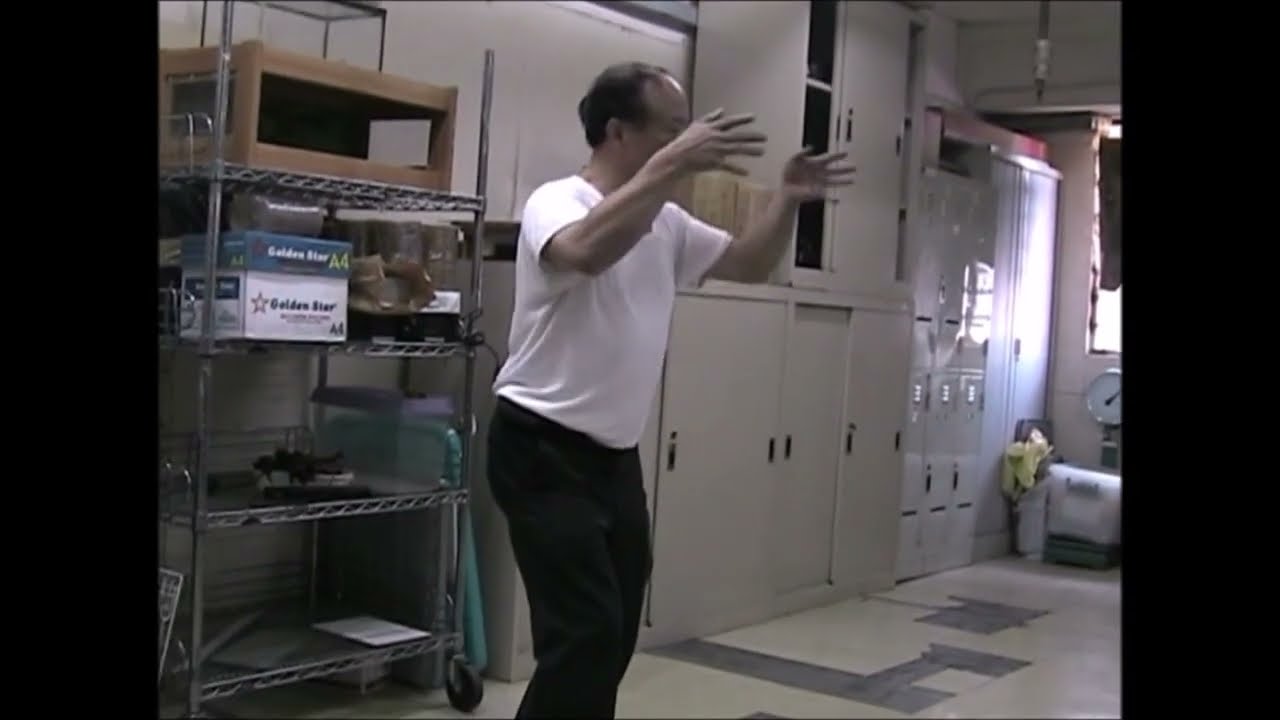 香港永春白鶴拳李剛師傅 2004 / Yong Chun White Crane Sifu Lee Kong 2004