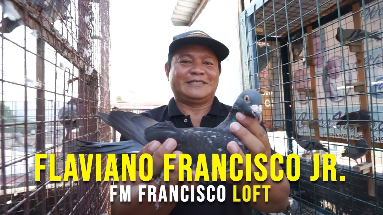 The story of the Peter Sy line in Tondo, also the line of Rey Tamayo who is the Champion of EDL OLR