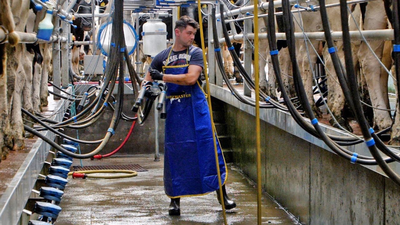 Tipperary farmer and new entrant awarded for excellent SCC