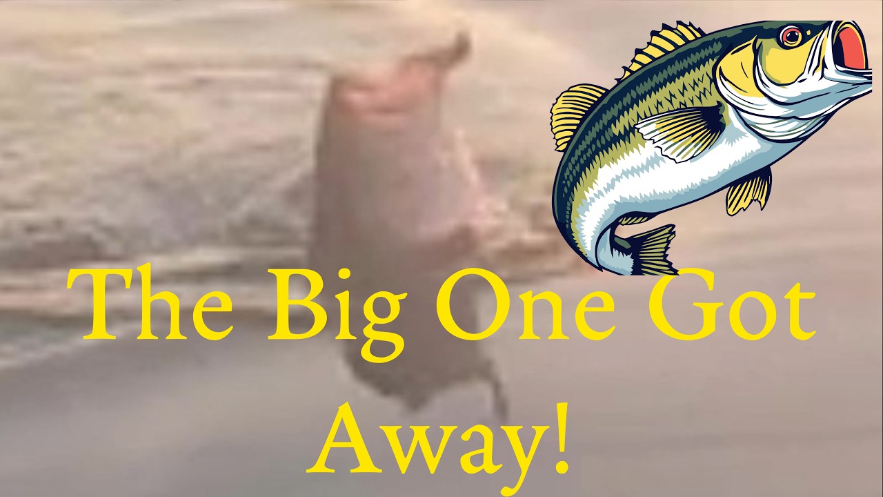 Why Does the Big One Always Get Away! #tidewe #hunting #fishing