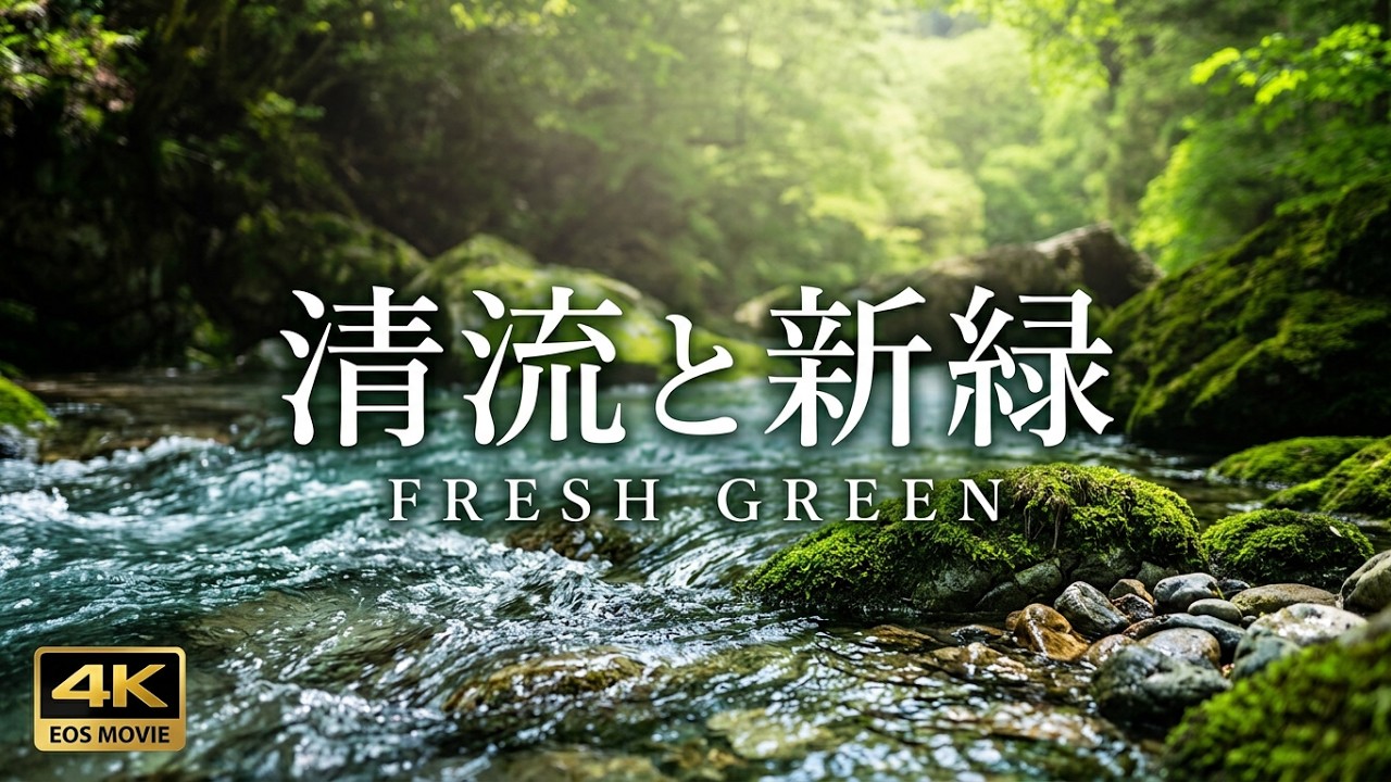 【復活版】4K  自然環境動画　新緑と清流　伏流水の円原川   Fresh green and clear stream