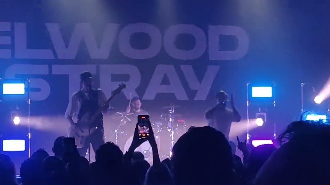 Elwood Stray – Evolve (Live 20.02.26 @ Im Wizemann, Stuttgart)