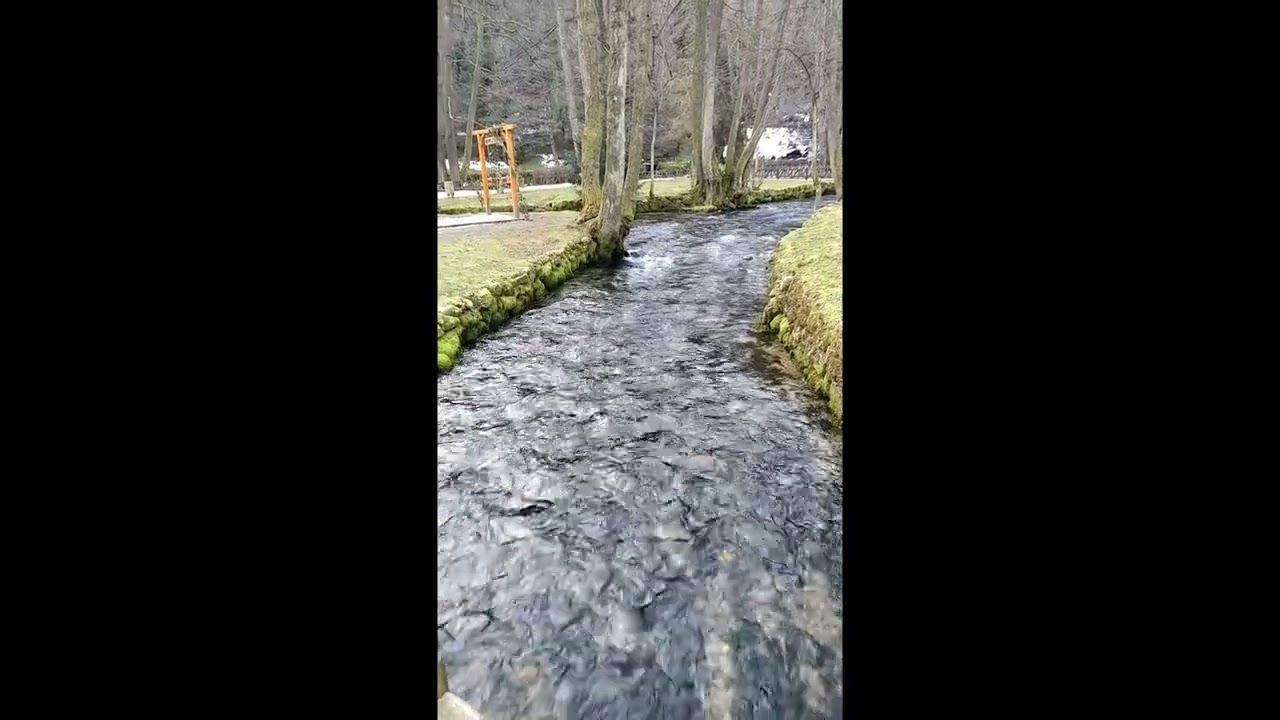 Music and nature for meditation and rest