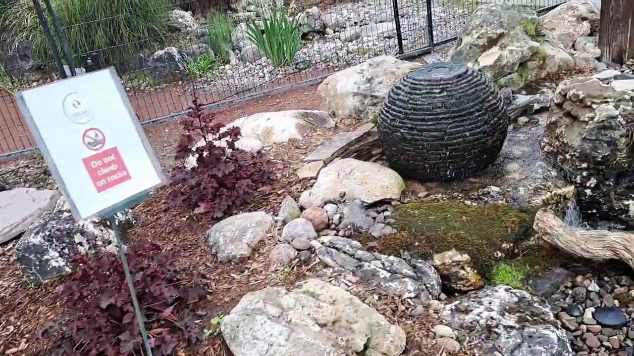 Niagara Pond & Garden Centre - Many Good Examples of Small Water Features