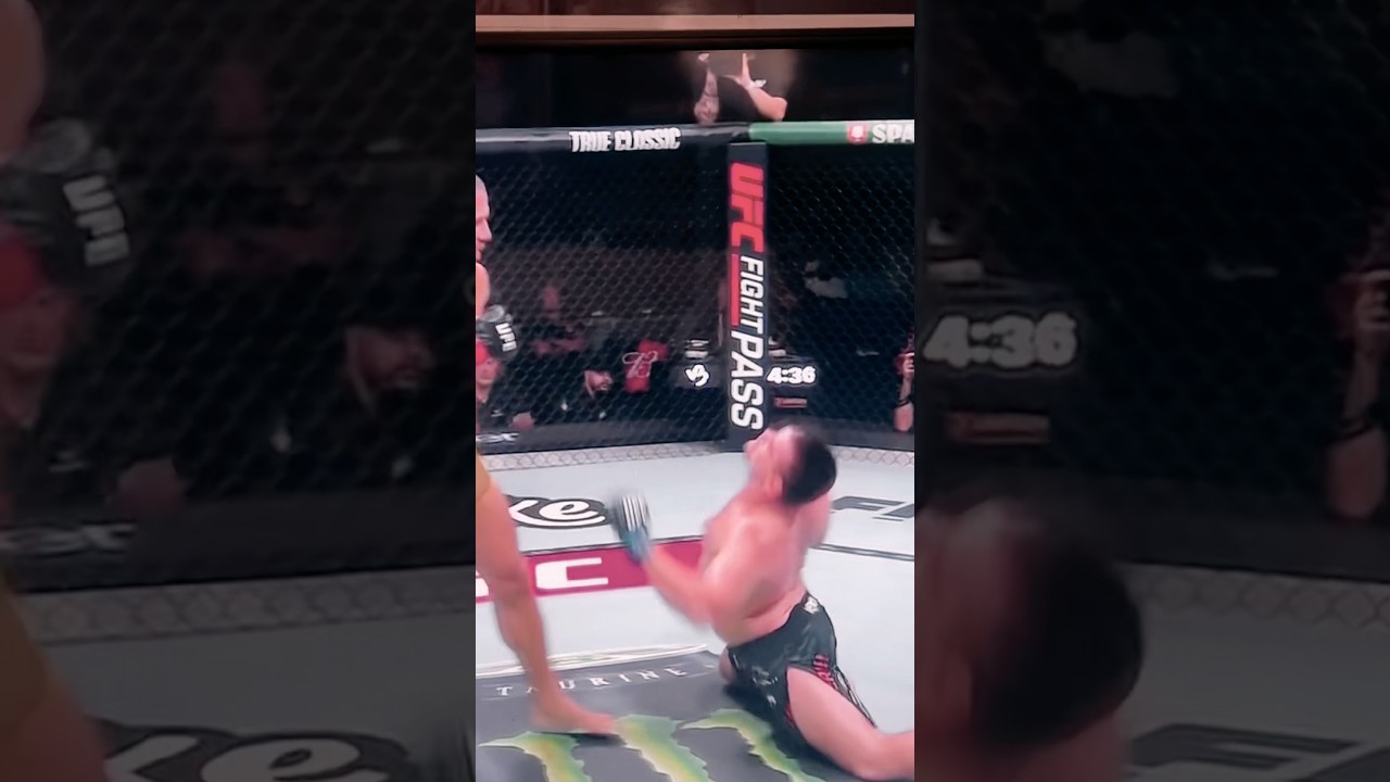 Vitor Petrino KOs Thomas Petersen #ufcbrazil