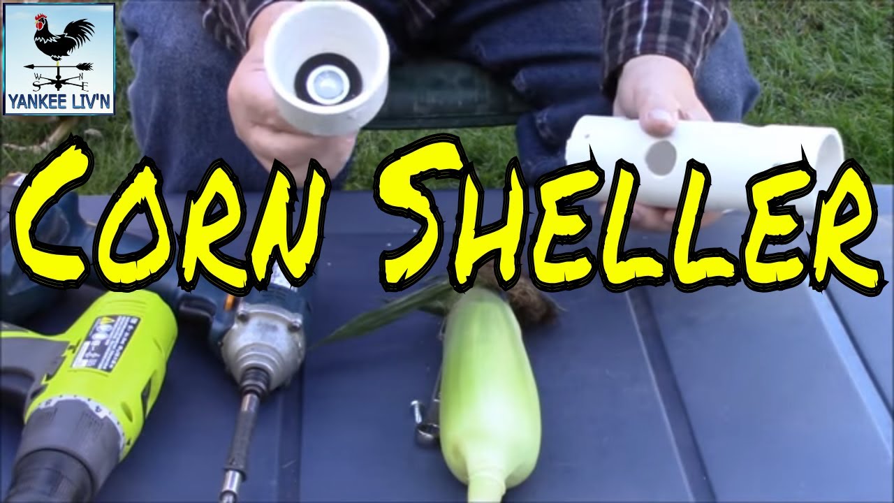 How To Shell Dry Corn Quick And Easy