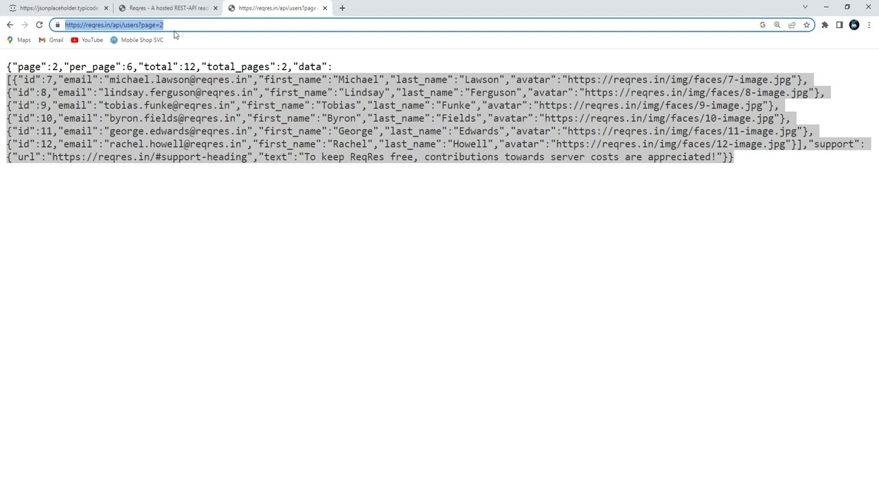Flutter Make A Network Request Data Json API Test on flutter