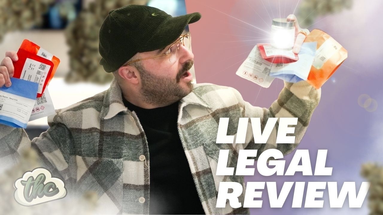 JACK GIMAN joins to TEST Linsboer R&D BATCH, FRESH HoHo strain &lsquo;Suitcase&rsquo; & more - LEGAL REVIEWS