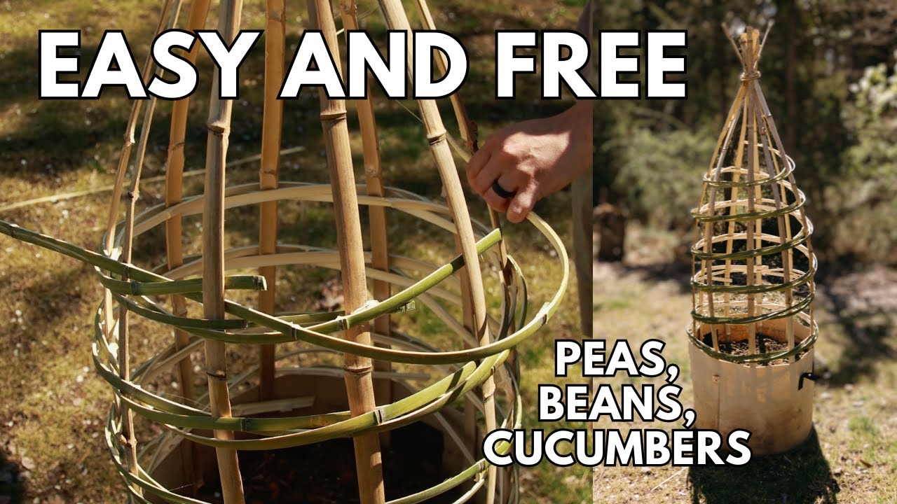 How To Weave A Bamboo Obelisk Trellis