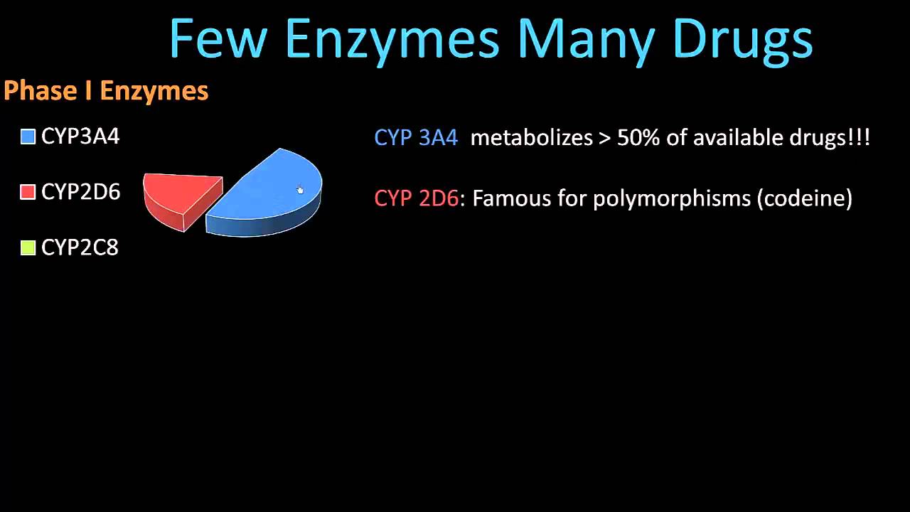 Phase II Metabolism - Pharmacology Lect 8