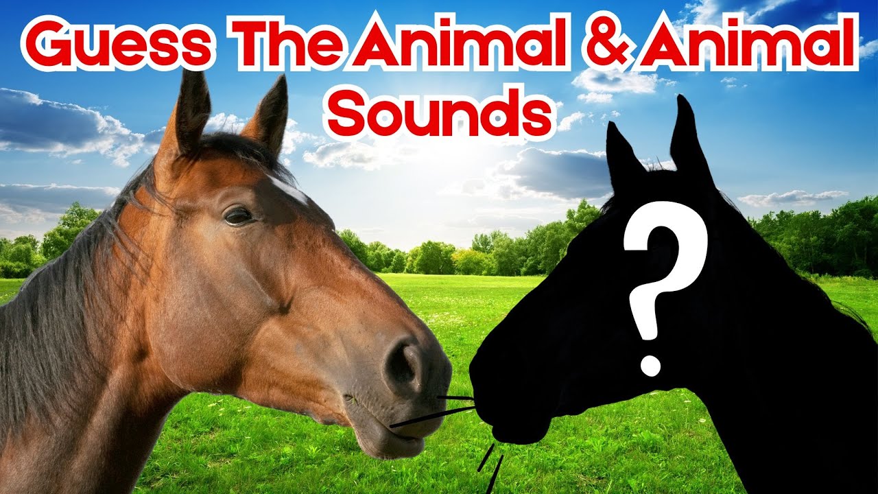 Animal Sound Guessing Game 🎧 | Farm Animals Sounds & Names for Kids