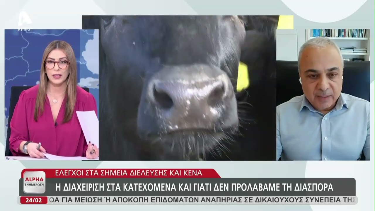 Η διαχείριση στα κατεχόμενα και γιατί δεν προλάβαμε τη διασπορά | AlphaNews Live