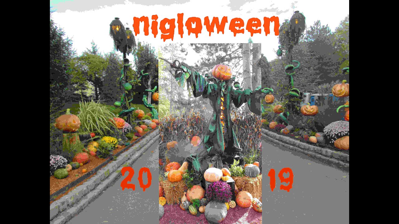 NIGLOWEEN 2019