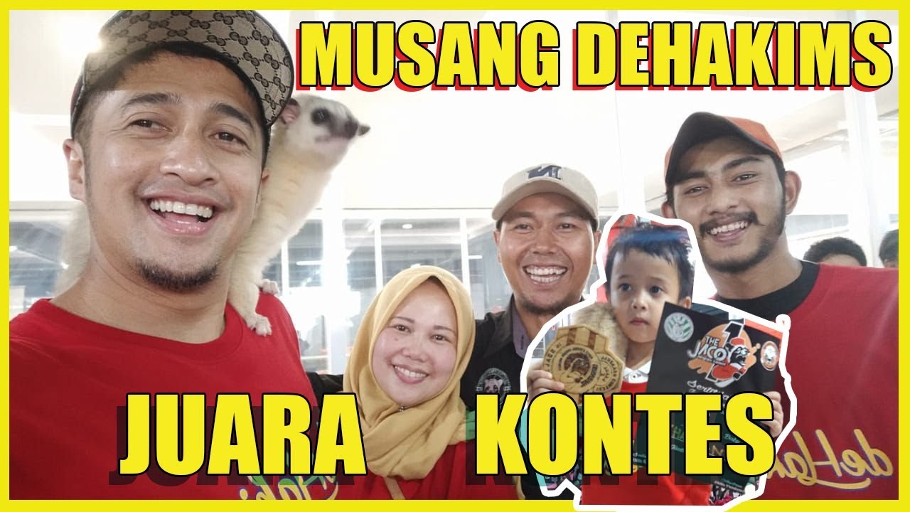 MUSANG DEHAKIMS JUARA KONTES