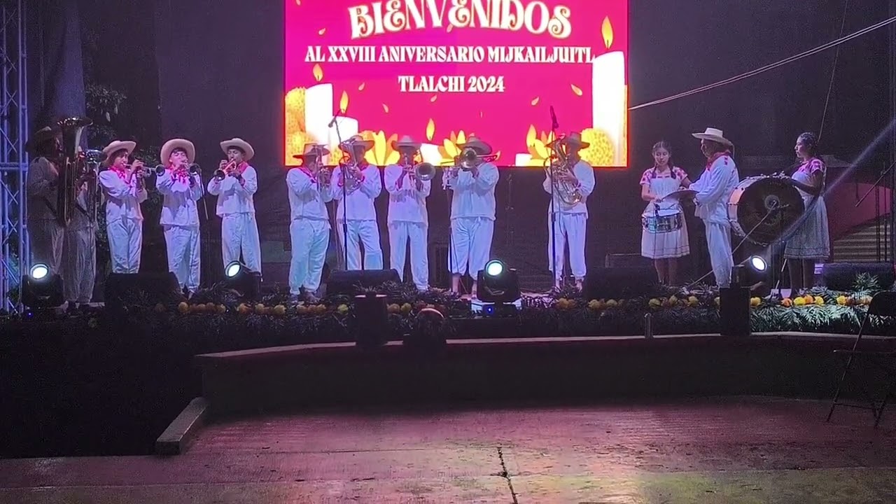 Despacito - Banda Furia Huautlense
