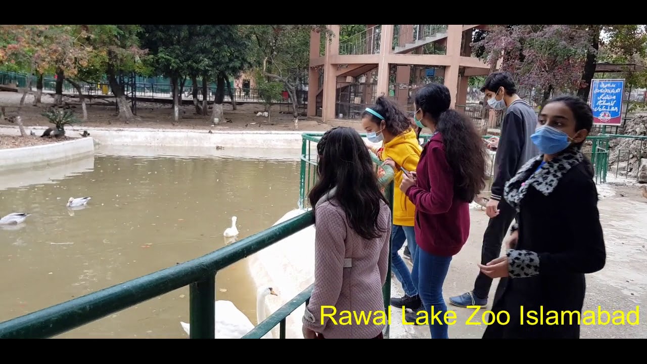 Rawal Lake  Birds Zoo, Islamabad, Pakistan