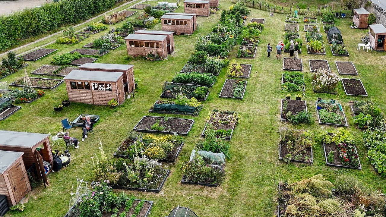 Abergele Residents Allotment Association open day 9 & 10 August 2025..