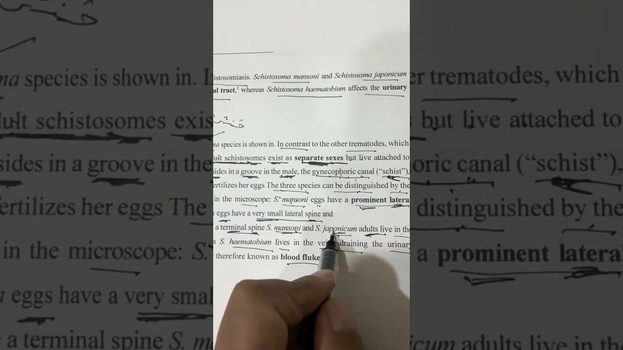 شرح طفيليات نظري محاضرة رابعة مرحلة رابعة مختبرات طبية وزاري ٢٠٢٦ /الاستاذ مسلم عقيل 