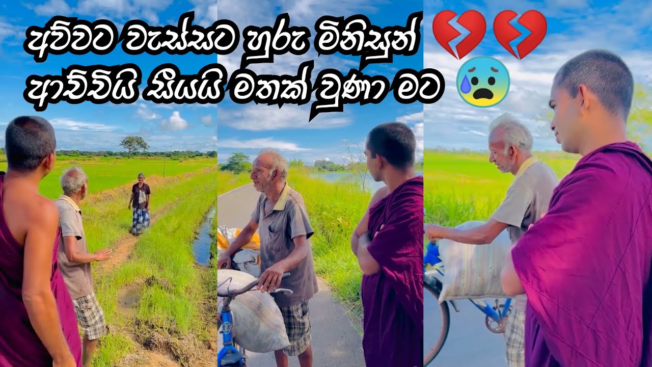 අව්වට වැස්සට හුරු මිනිසුන් 💔💔💔💔 ආච්චියි සීයයි මතක් වුණා මට 😰 #sandagiri_maha_saya_hanthana