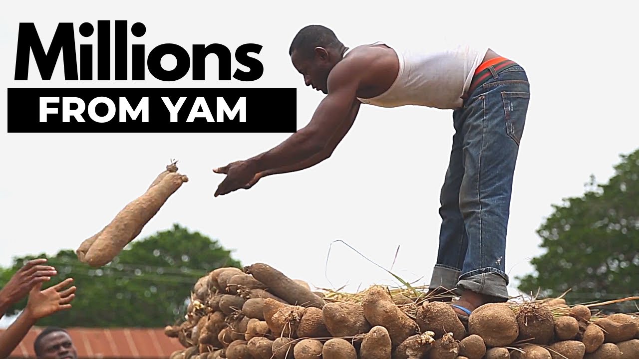 Как ведется бизнес YAM в Нигерии, Африка.