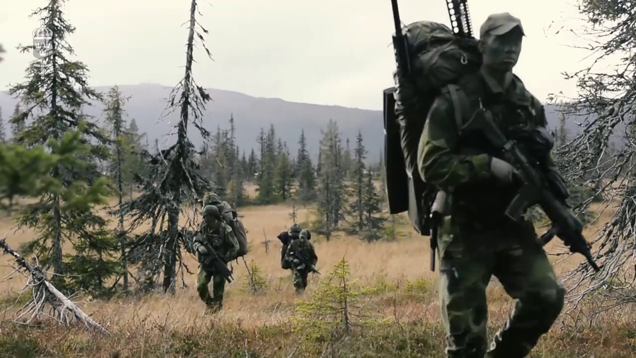 Swedish Armed Forces  |  Light Infantry |
