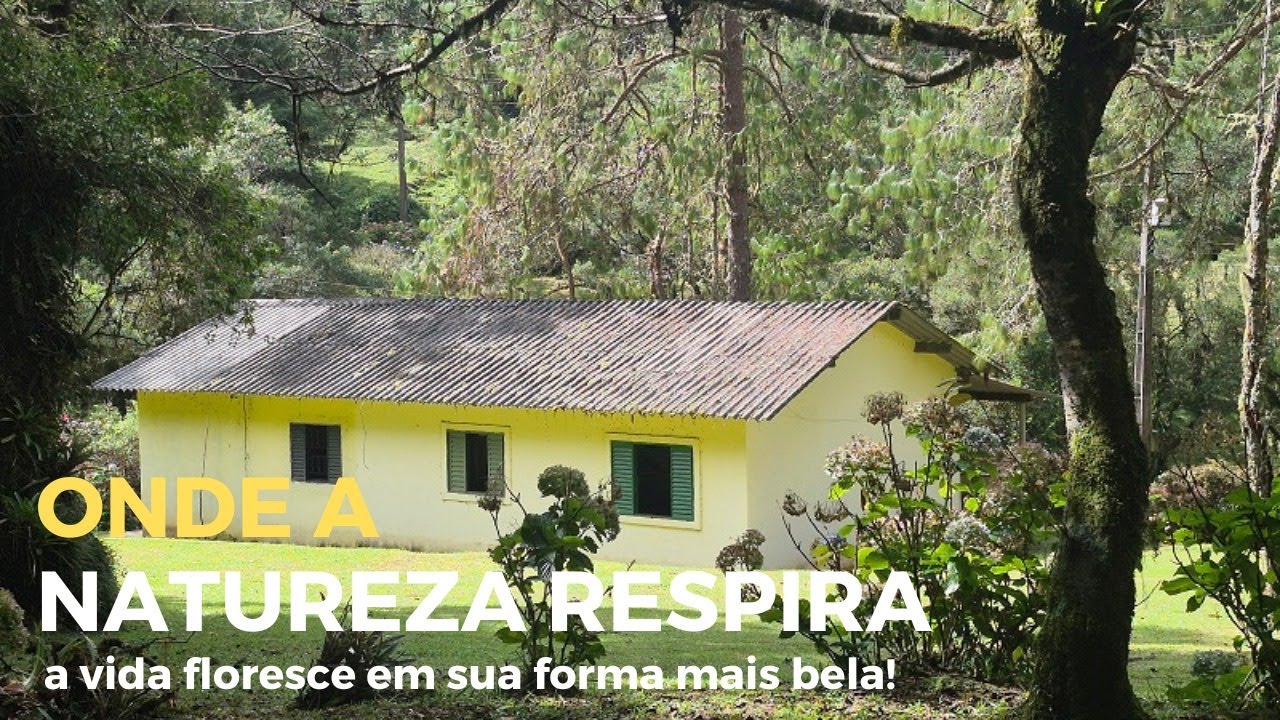 REF 104 - SÍTIO INCRÍVEL EM SAPUCAÍ MIRIM COM NASCENTE, CORREGO E MUITA NATUREZA VALOR R$ 880.000,00