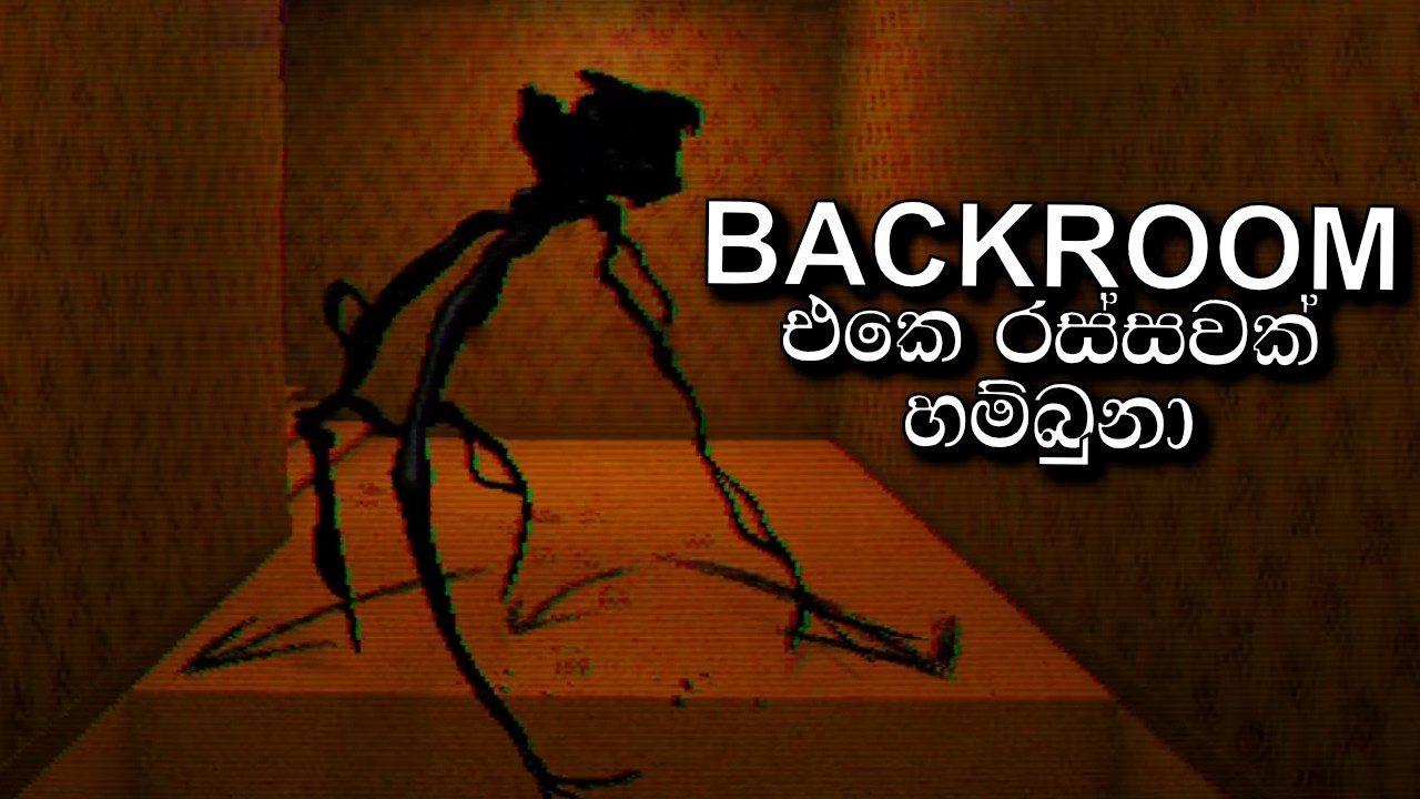 THE BACKROOM COMPANY | sinhala gameplay with @SLThidaofficial