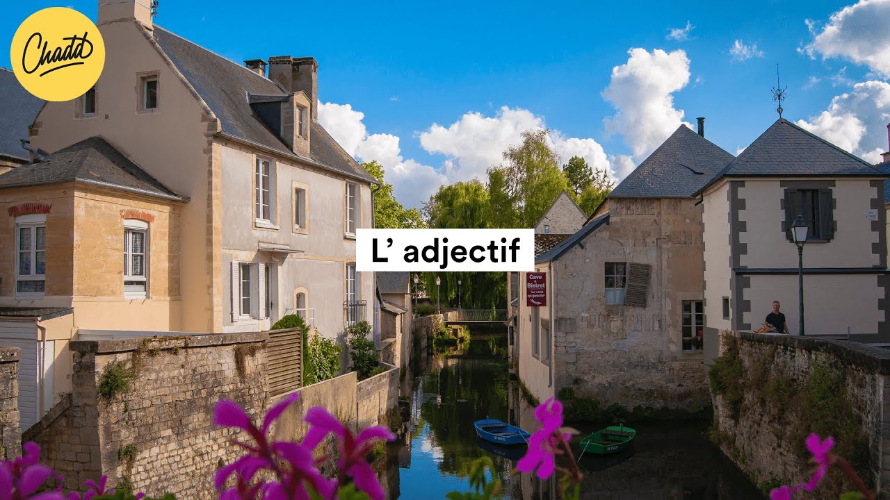 L'adjectif - Mr. Chadd Academy