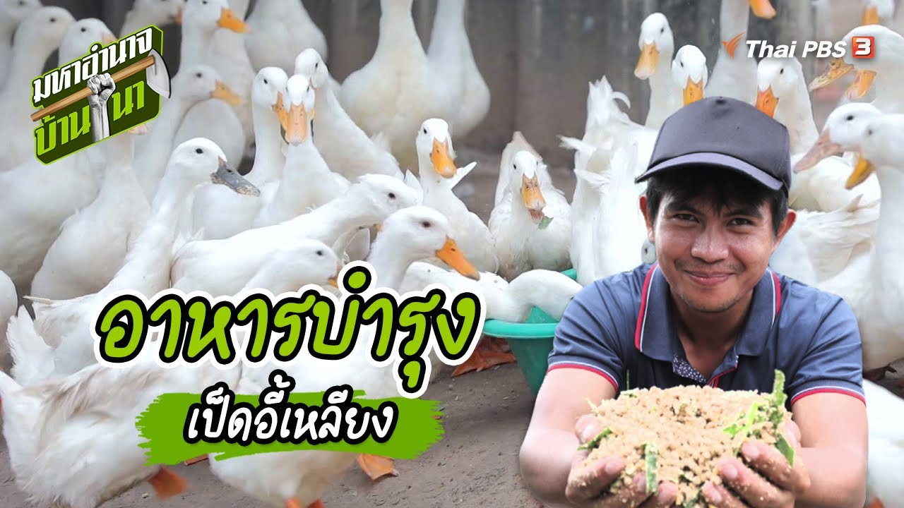 อาหารบำรุงเป็ดอี้เหลียง | สูตรลับฉบับบ้านนา