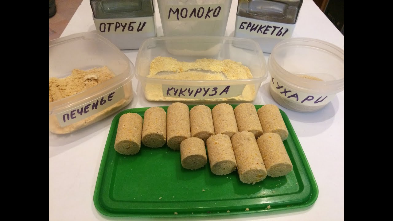 №132. Технопланктон в домашних условиях. Часть 1