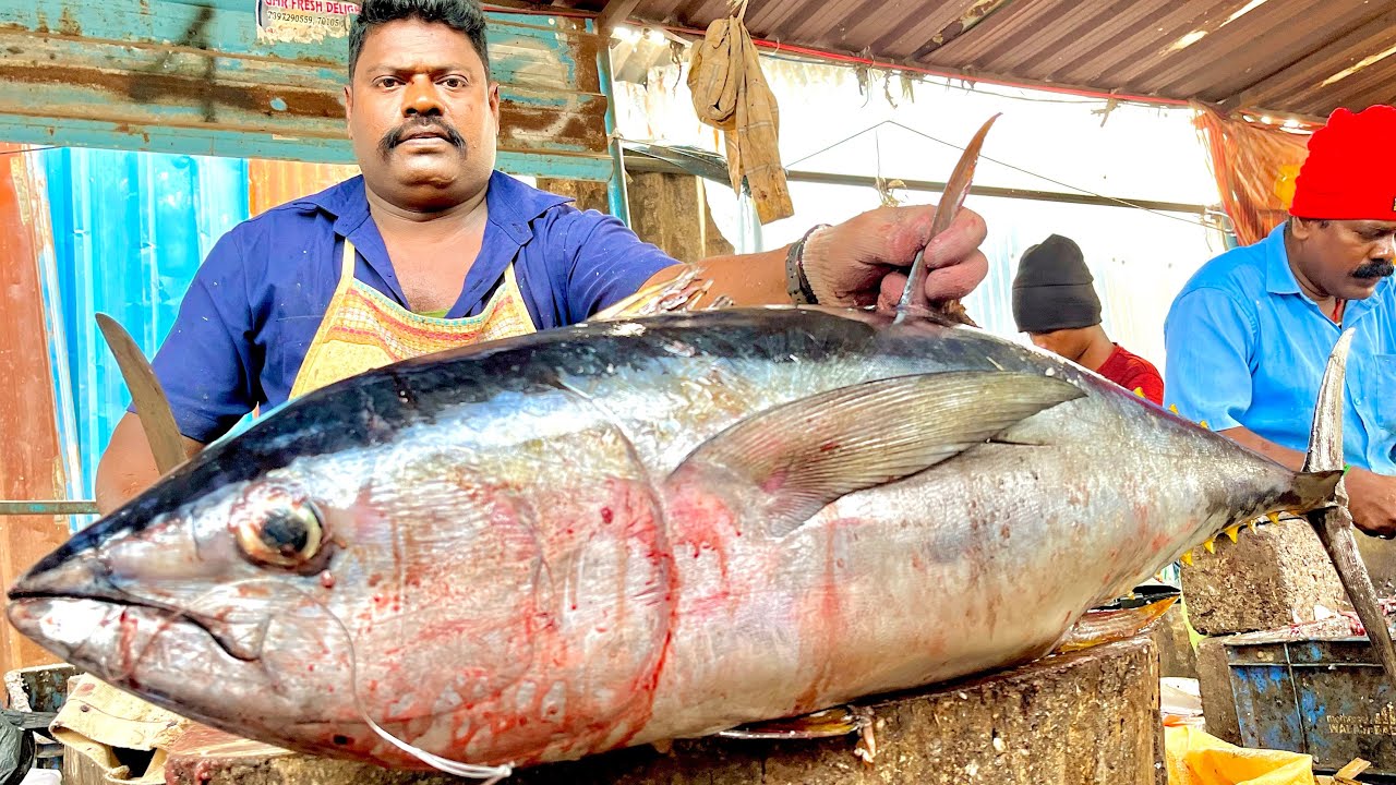 KASIMADU SPEEDSELVAM 68кг БОЛЬШОЙ РАЗМЕР 😱ВИДЕО НАРЕЗКИ ТУНЦА #kasimeduselvam #fishcutting