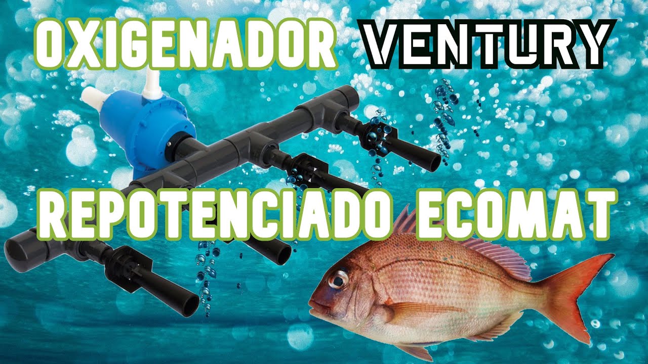 VENTURI ECOMAT UN OXIGENADOR  REPOTENCIADO PARA PECES