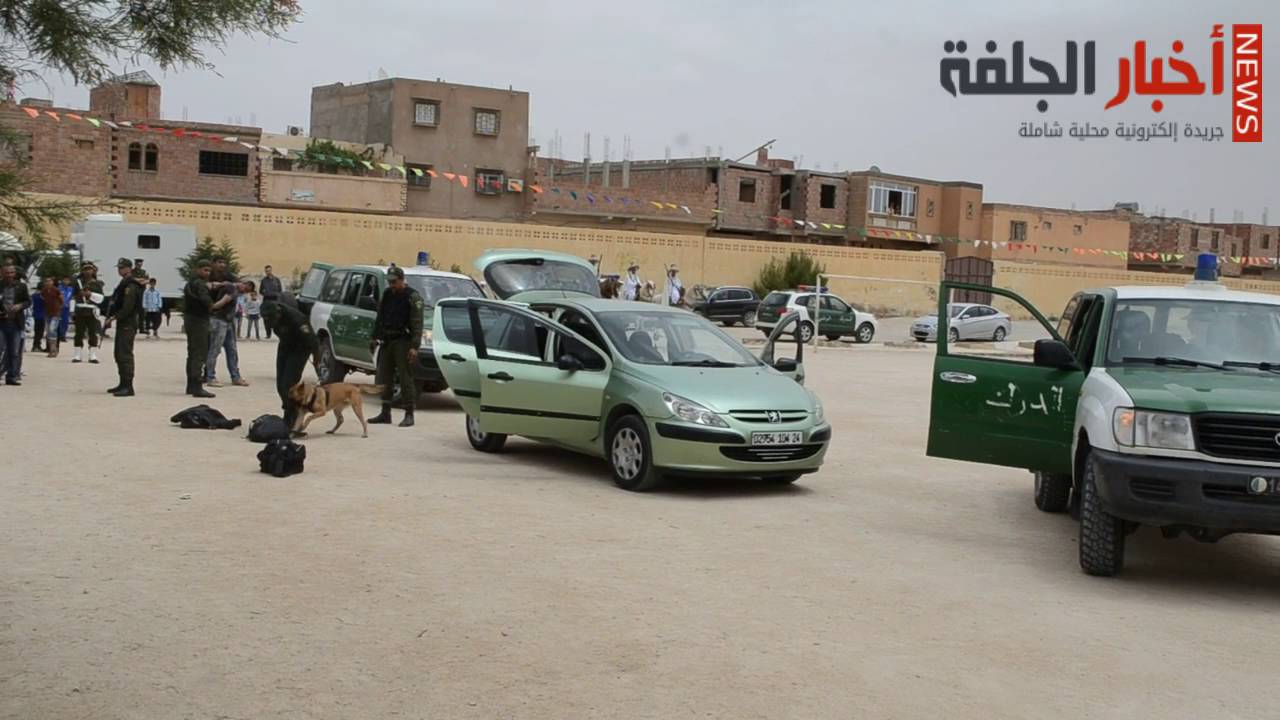 الدرك يقبض على مروجي مخدرات مسلحين على المباشر  بالجلفة