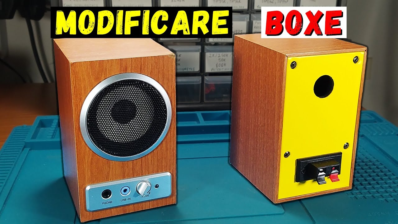 Cum transformăm boxe active în pasive folosind sistemul audio PLEOMAX PSP1100