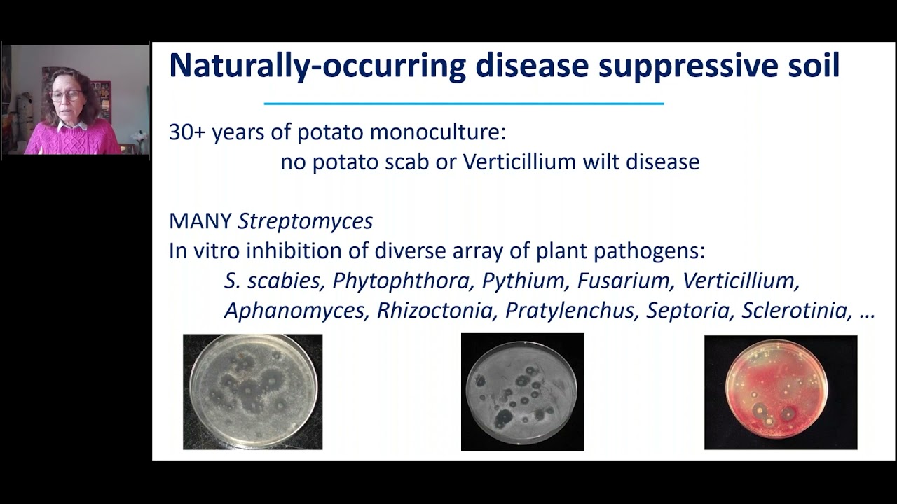 Soil Microbiomes and Crop Health: Are soil microbiomes the key to sustainable cropping(Linda Kinkel)