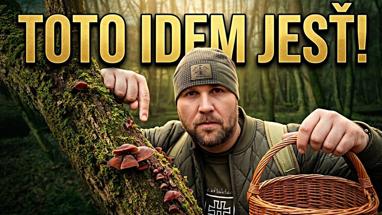 UPRŠANÝ DEŇ NA HUBÁCH! Polievka a Judášovo Ucho (UCHOVEC BAZOVÝ)