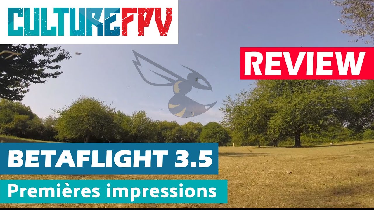 Betaflight 3.5, premières impressions | Feed Forwad, dynamic filter et Anti-gravity