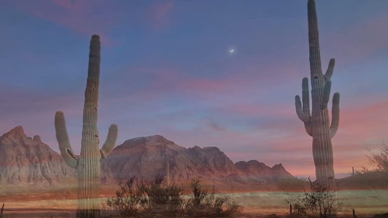 Desert Time ~ Part Two of Four