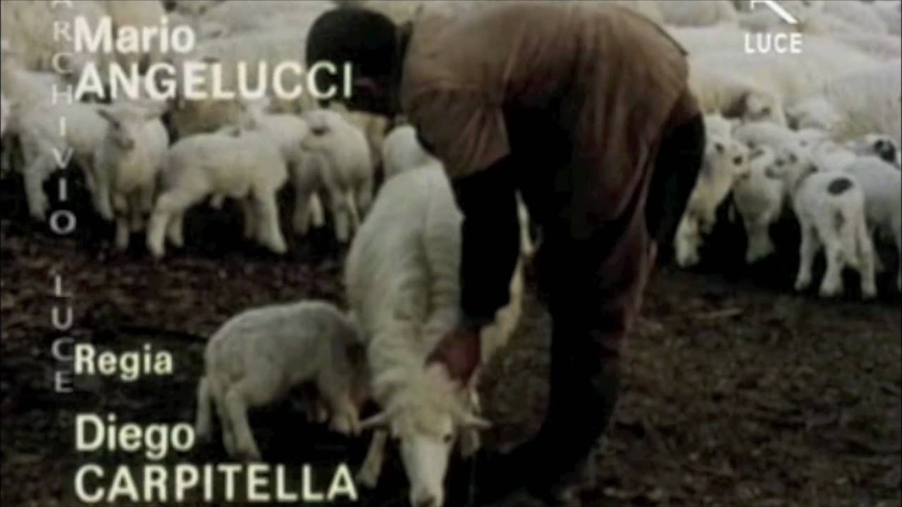 Cinesica in Barbagia 3