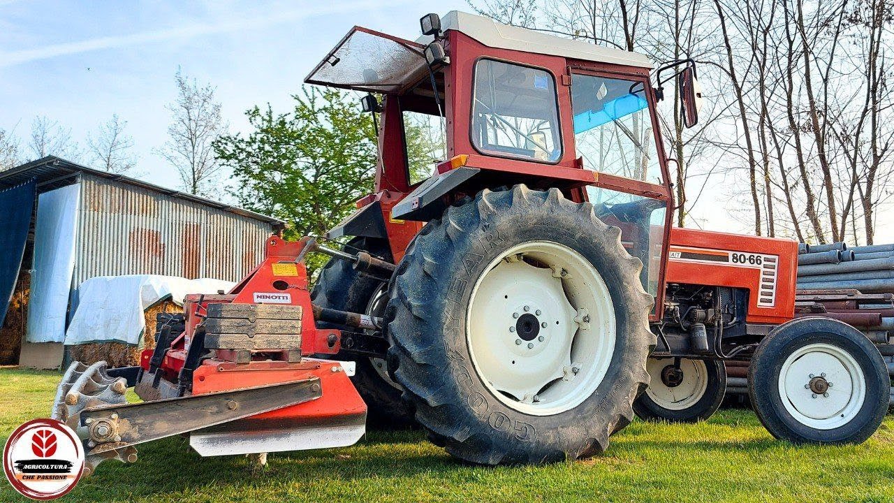 PREPARAZIONE TERRENO PER MAIS | FIAT 80 66 + Erpice rotante 2,75
