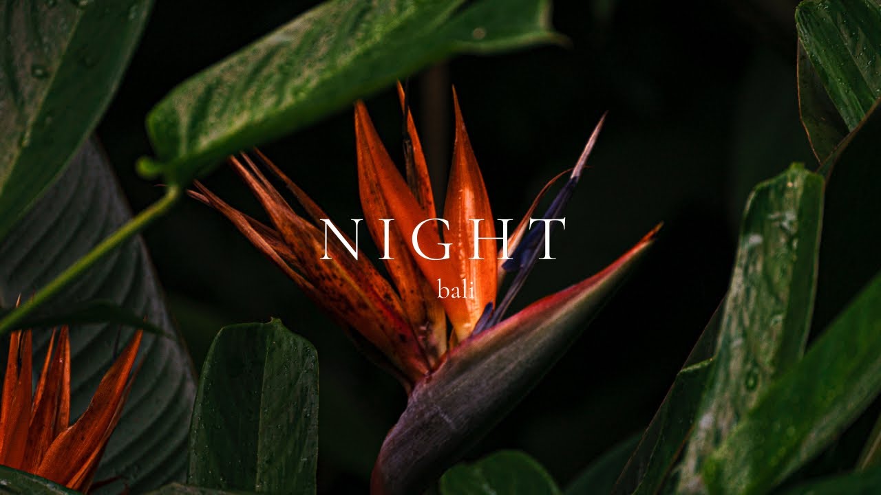 8.3 Hours of Bali Night Sounds 🌙 Frogs, Insects & Tropical Birds