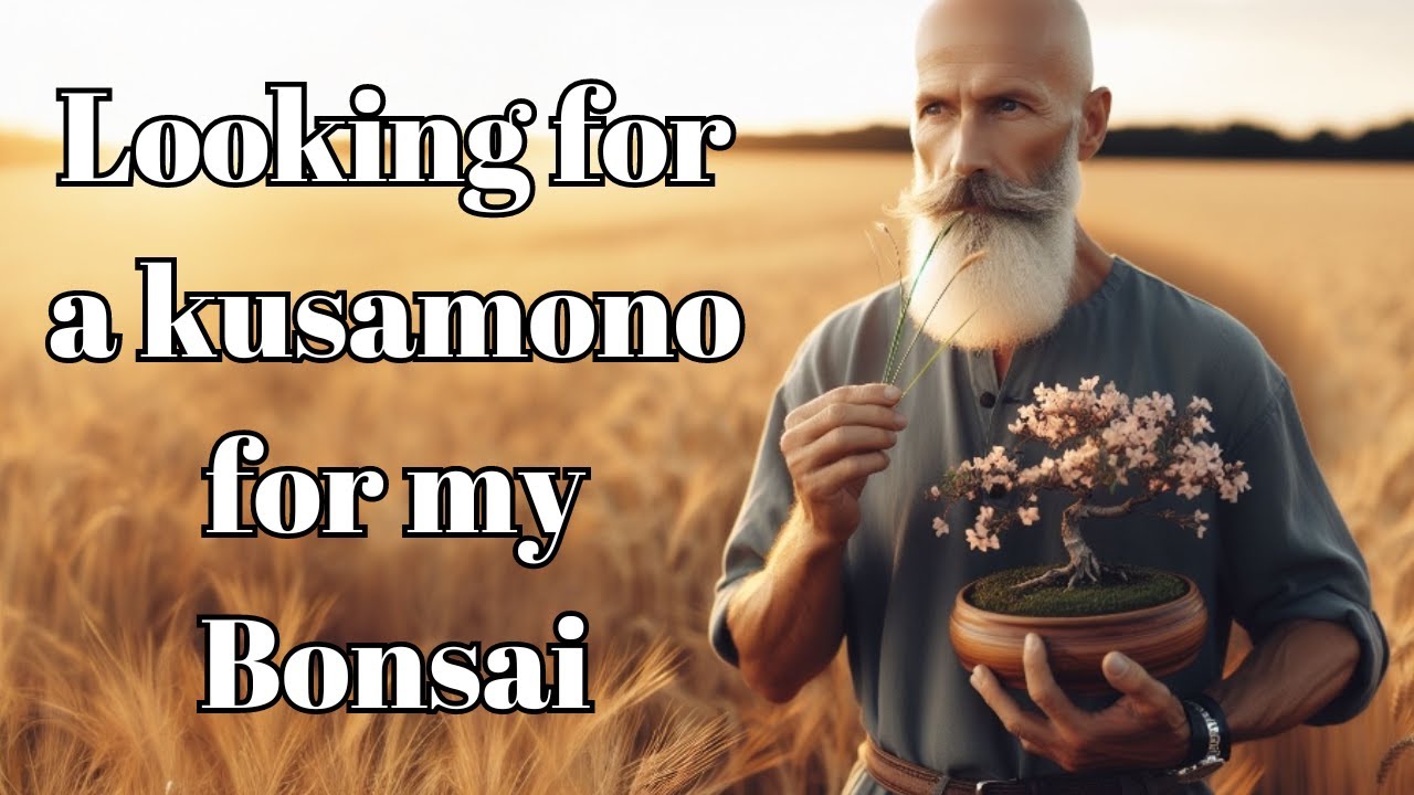 Kusamono Herb for my Bonsai (Bonsai Diary) #55