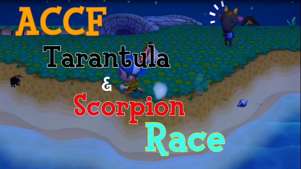 ACCF - Tarantula/Scorpion Race with my Brother