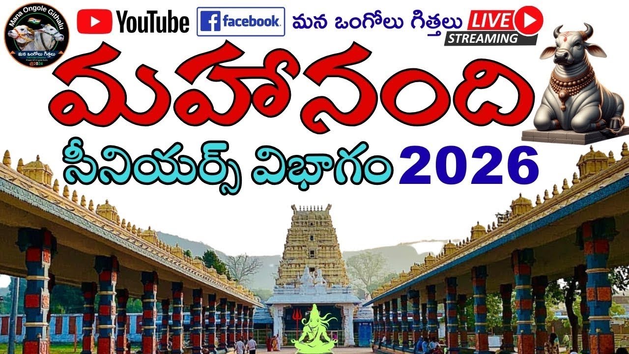 మహానంది సీనియర్ | 4జత SSR బుల్స్ సుంకి సురేందర్ రెడ్డి గారు హుజుర్నగర్