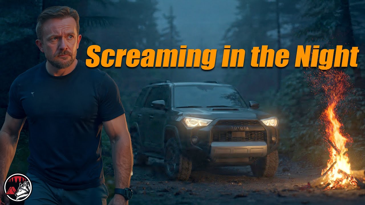 NOT ALONE in the Remote Forest - Camping Adventure