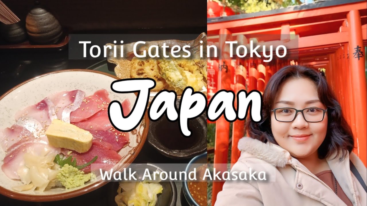 Solo in Japan - Torii Gates Hie Shrine, Good Sashimi in Nagareishi Akasaka Ep 16