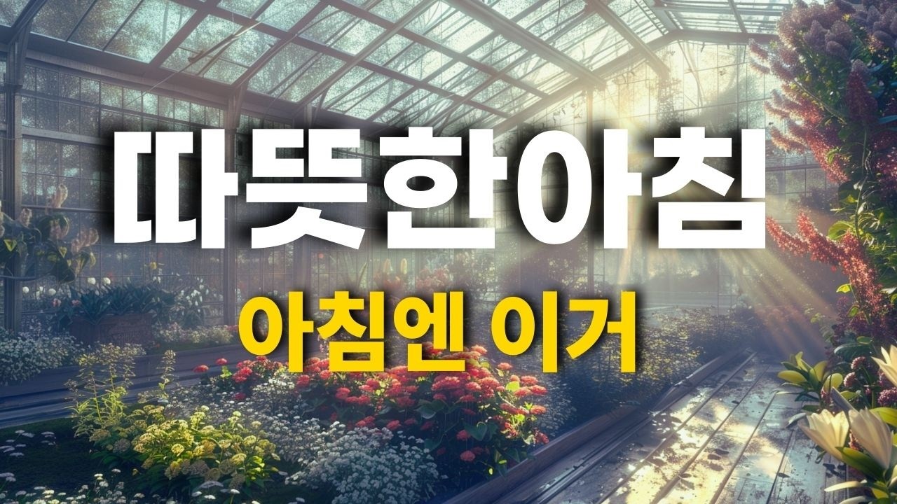 [Playlist] ☕ **편안한음악으로 하루의 시작 | Warm Morning Music | Relaxing Background Music**🌿