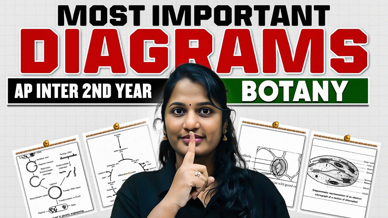 Most Important Diagrams in Botany 🔥 | AP Inter 2nd Year | Score Full Marks in IPE 2026