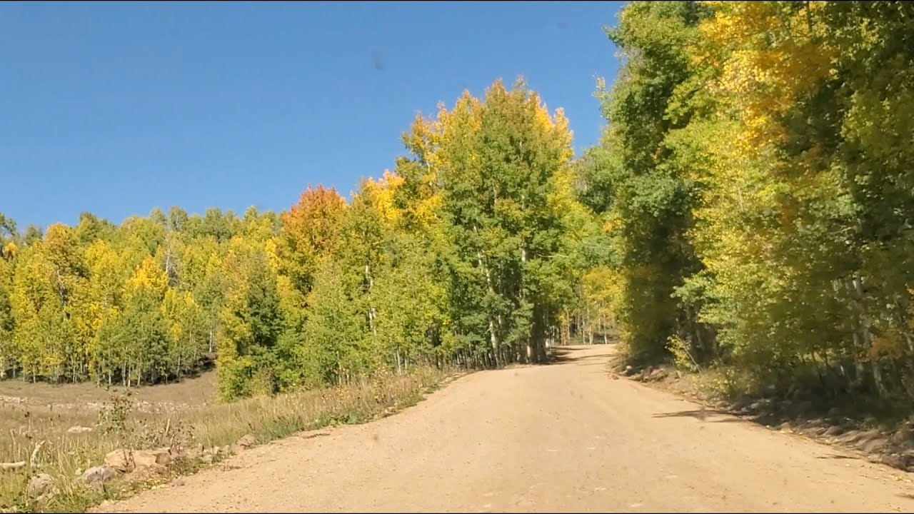 Uinta National Forest - Duchesne Ridge & Soapstone Basin